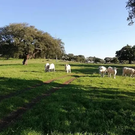 ヴィラ Casa Do Lagar De