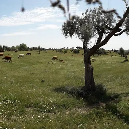 Casa Do Lagar De * Medelim