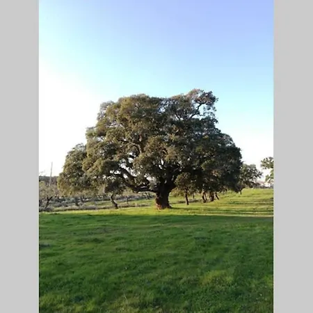 Βίλα Casa Do Lagar De