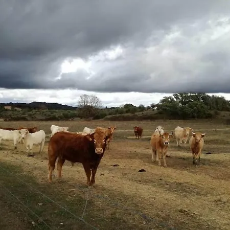 Casa Do Lagar De ヴィラ *
