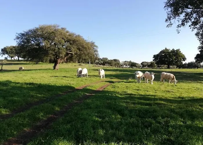 Vila Casa Do Lagar De