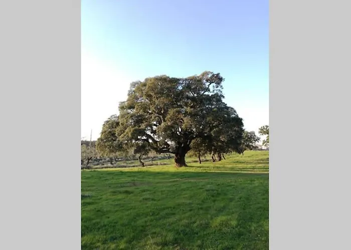 Vila Casa Do Lagar De