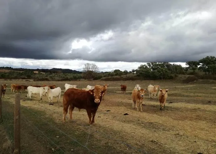 Casa Do Lagar De Vila *